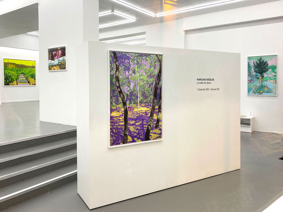 "Lull after the storm" - exhibition view, Karolina Orzełek, galerie Sabine Bayasli, december 2020